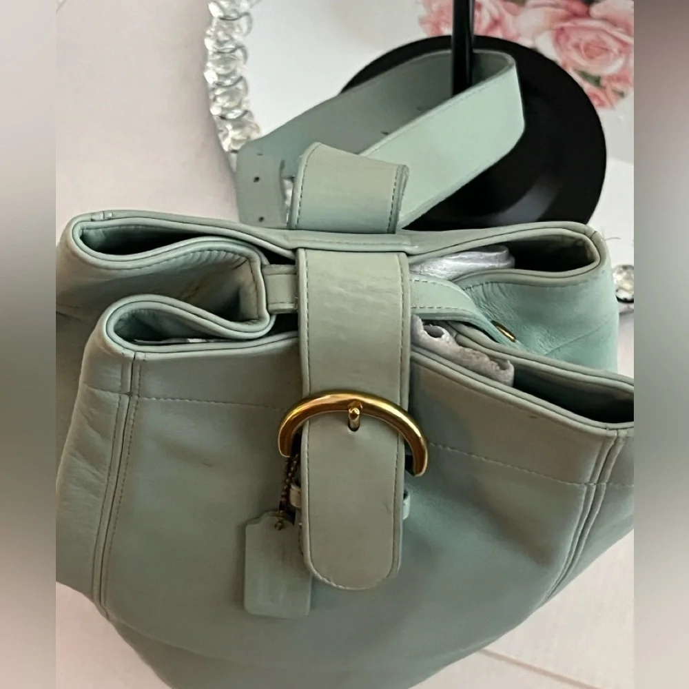 Coach chic mint